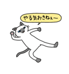 病弱ねこの日常 夏編（個別スタンプ：21）