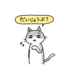 病弱ねこの日常 夏編（個別スタンプ：24）