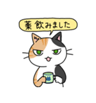 病弱ねこの日常 夏編（個別スタンプ：26）