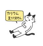 病弱ねこの日常 夏編（個別スタンプ：29）