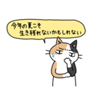 病弱ねこの日常 夏編（個別スタンプ：33）