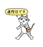 病弱ねこの日常 夏編（個別スタンプ：34）