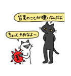 病弱ねこの日常 夏編（個別スタンプ：36）