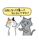 病弱ねこの日常 夏編（個別スタンプ：38）