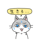 病弱ねこの日常 夏編（個別スタンプ：40）