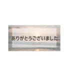 夏に使える背景の敬語の日常会話スタンプ（個別スタンプ：19）