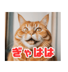 猫：遊び心と魅力あふれるLINEスタンプ（個別スタンプ：1）
