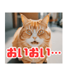 猫：遊び心と魅力あふれるLINEスタンプ（個別スタンプ：4）