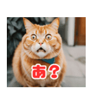 猫：遊び心と魅力あふれるLINEスタンプ（個別スタンプ：7）