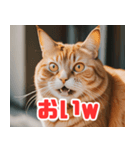 猫：遊び心と魅力あふれるLINEスタンプ（個別スタンプ：8）