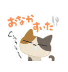 ねこにゃん達の夏便り（修正版）（個別スタンプ：25）