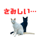 猫島の気ままな仲間たち（個別スタンプ：18）