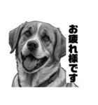 AI・モノクロ犬(敬語)（個別スタンプ：5）