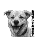 AI・モノクロ犬(敬語)（個別スタンプ：6）