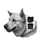 AI・モノクロ犬(敬語)（個別スタンプ：12）