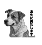 AI・モノクロ犬(敬語)（個別スタンプ：19）