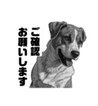 AI・モノクロ犬(敬語)（個別スタンプ：23）