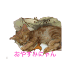 にゃんかわいいニャン2（個別スタンプ：5）