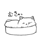 ねこさんら（個別スタンプ：19）