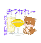 なかよし豆柴の夏（個別スタンプ：11）