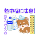 なかよし豆柴の夏（個別スタンプ：27）