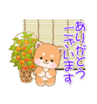 なかよし豆柴の夏（個別スタンプ：33）