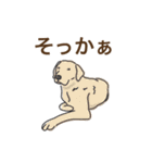 毎日使えるあいづち〜共感力の高い犬たち〜（個別スタンプ：12）