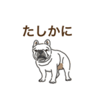 毎日使えるあいづち〜共感力の高い犬たち〜（個別スタンプ：15）