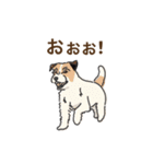 毎日使えるあいづち〜共感力の高い犬たち〜（個別スタンプ：29）