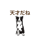 毎日使えるあいづち〜共感力の高い犬たち〜（個別スタンプ：33）