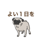 毎日使えるあいづち〜共感力の高い犬たち〜（個別スタンプ：40）