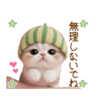 かわいいスコティッシュ猫とスイカ 気遣い（個別スタンプ：10）