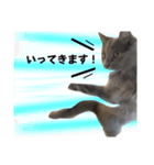 長毛こねこちゃん「わさび」①（個別スタンプ：5）