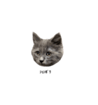 長毛こねこちゃん「わさび」①（個別スタンプ：22）