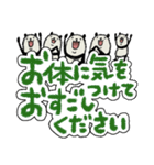 【デカ文字】豆パンダまみれ/大人丁寧（個別スタンプ：39）