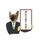 お酒とネコ好きな日常会話2（個別スタンプ：1）