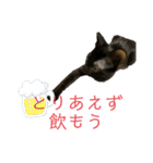 お酒とネコ好きな日常会話2（個別スタンプ：6）