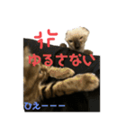お酒とネコ好きな日常会話2（個別スタンプ：18）