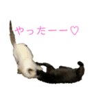 お酒とネコ好きな日常会話2（個別スタンプ：23）