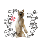 お酒とネコ好きな日常会話2（個別スタンプ：30）