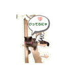 こてつくんと日常スタンプ（個別スタンプ：5）