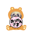 シーズーのぱとちゃんクマになる（個別スタンプ：22）