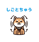 普段使い出来るかわいい柴犬スタンプ（個別スタンプ：7）