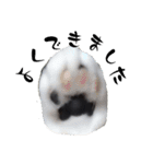 肯定！ポジティブ応援猫エレが元気づける！（個別スタンプ：7）