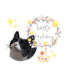 肯定！ポジティブ応援猫エレが元気づける！（個別スタンプ：27）