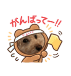 まめ猫シンガプーラ＆ハル（個別スタンプ：5）