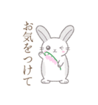 労い※うさぎさん（個別スタンプ：36）