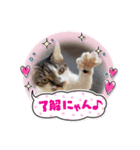 日常で使える ふぅちゃんver（個別スタンプ：2）