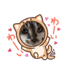 日常で使える ふぅちゃんver（個別スタンプ：3）