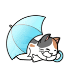 にゃんこの年中行事スタンプ（個別スタンプ：10）